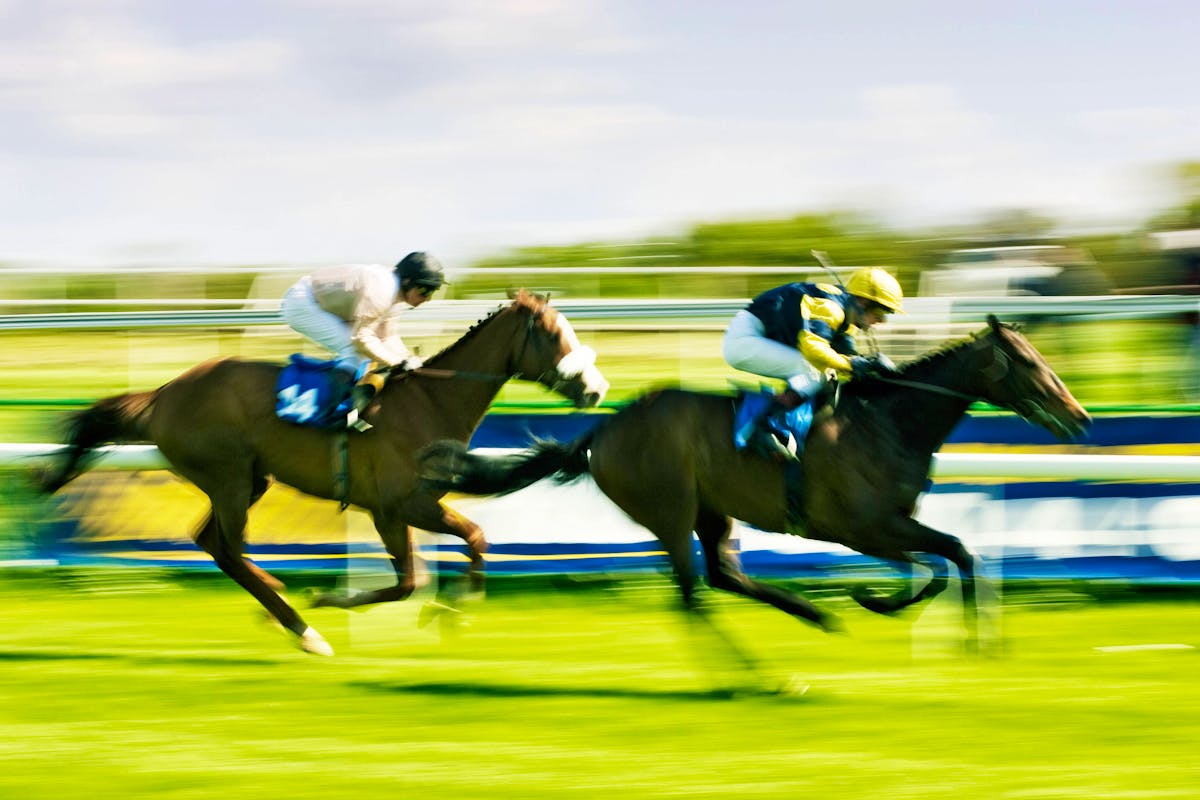 Horse racing odds explained
